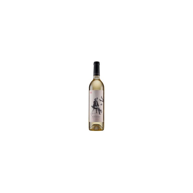 Vin BIO ‘Le Libertin’ Sauvignon Blanc